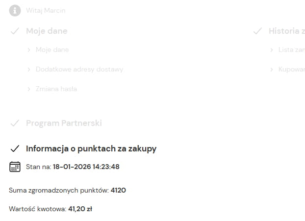 Saldo punktów w panelu